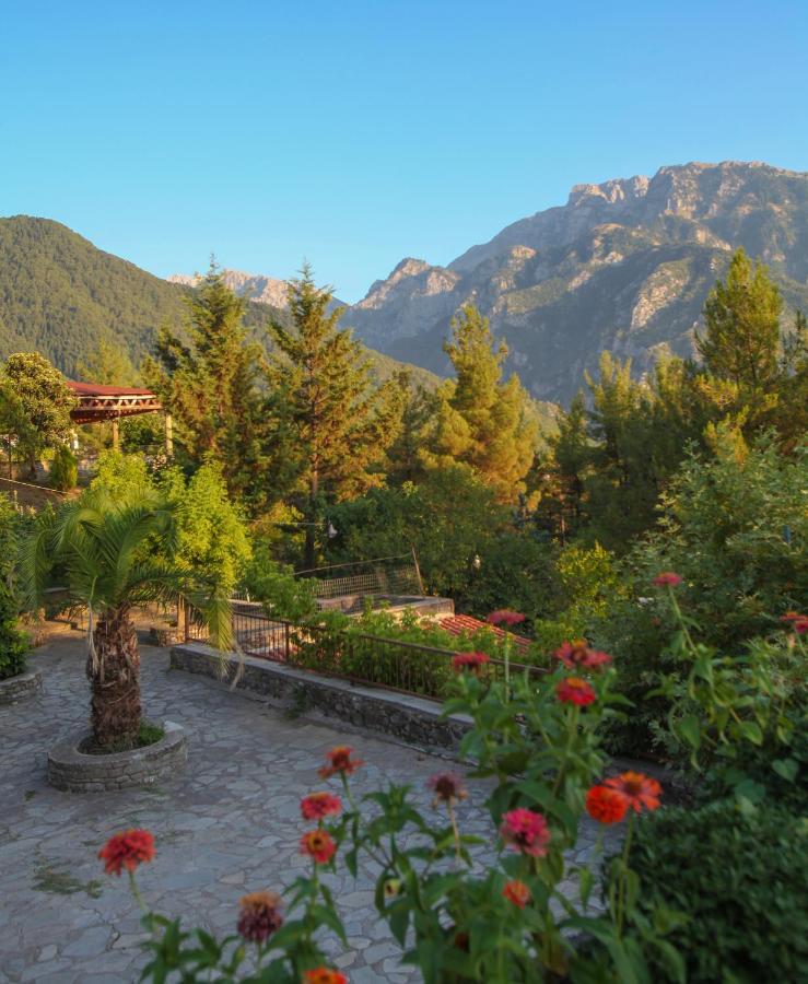 Konitsa Panorama Otel Dış mekan fotoğraf