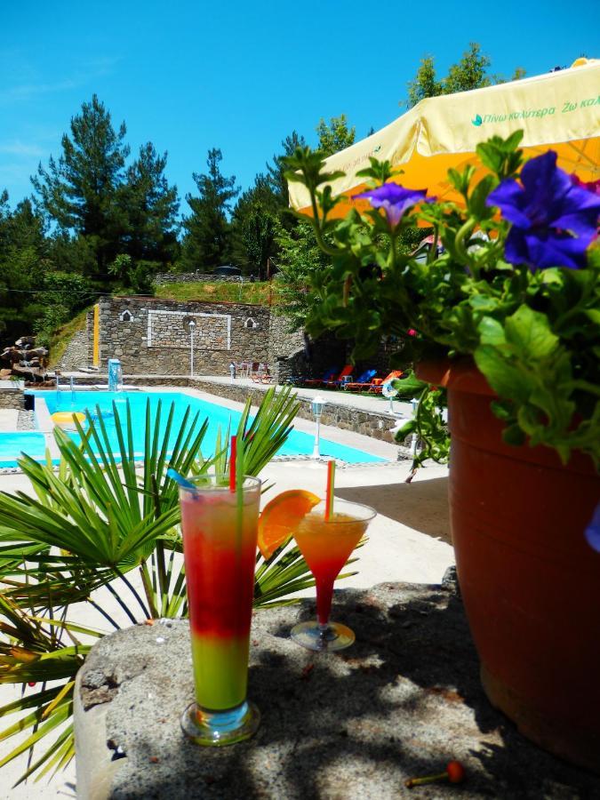 Konitsa Panorama Otel Dış mekan fotoğraf