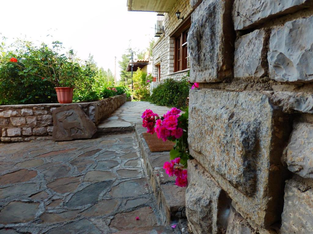 Konitsa Panorama Otel Dış mekan fotoğraf